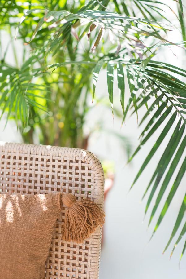 The Olive Boutique Suites & Spa กาลายองกา ภายนอก รูปภาพ